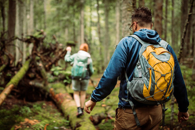 Mal raus aus Trier: zum Beispiel wandern durch den Wald