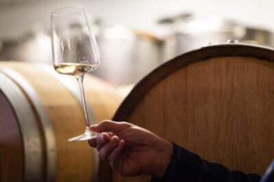 Entdecke die Weingüter von Trier-Saarburg - Regio Blog Trier-Saarburg