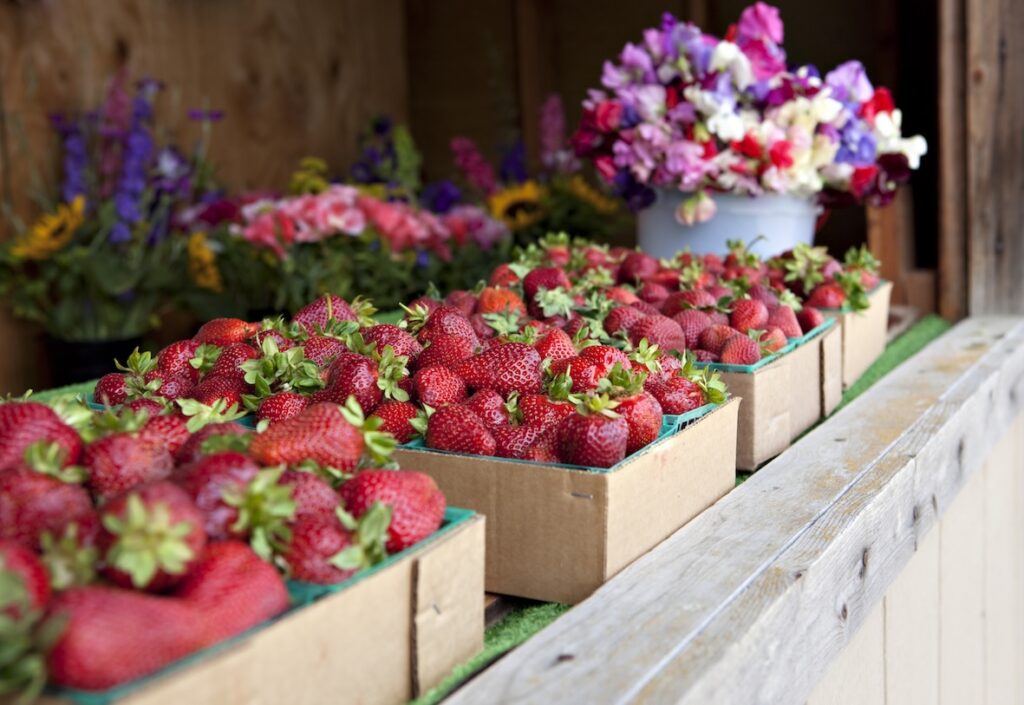 Erdbeerverkaufsstand mit Körben voller frischen Erdbeeren